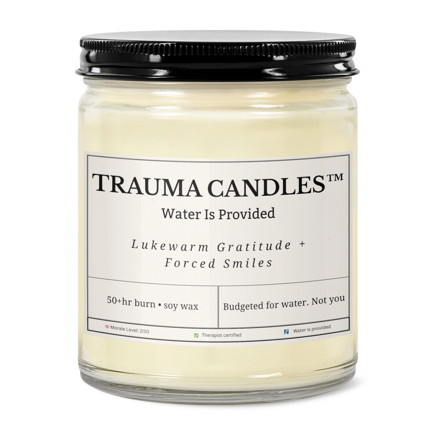Water Is Provided - 9oz Clear Jar Candle | Black Lid